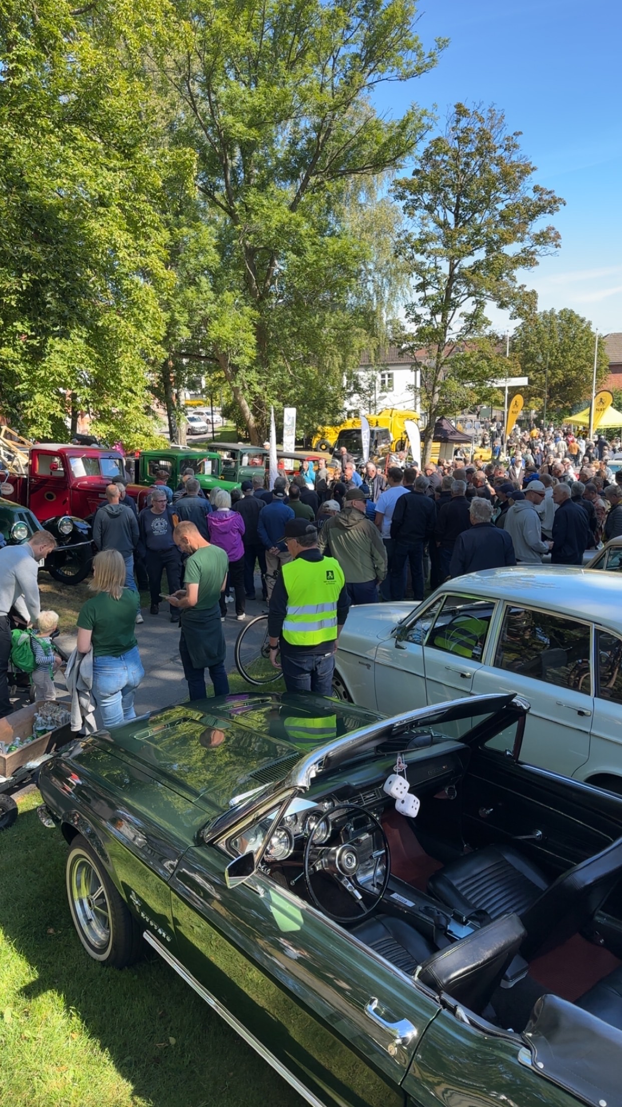 Bilens Dag