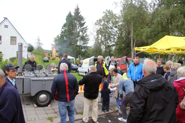 Bilens Dag 2014