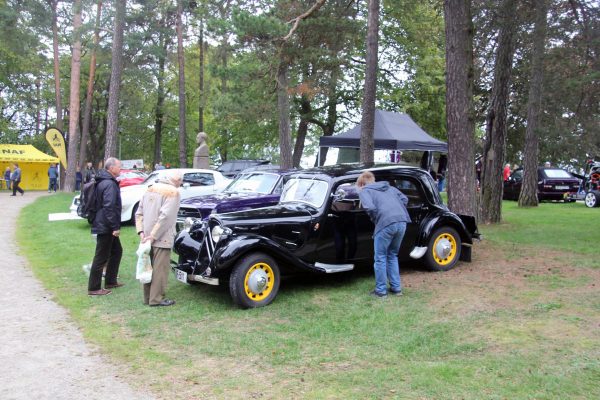 Bilens Dag 2014