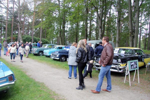 Bilens Dag 2014