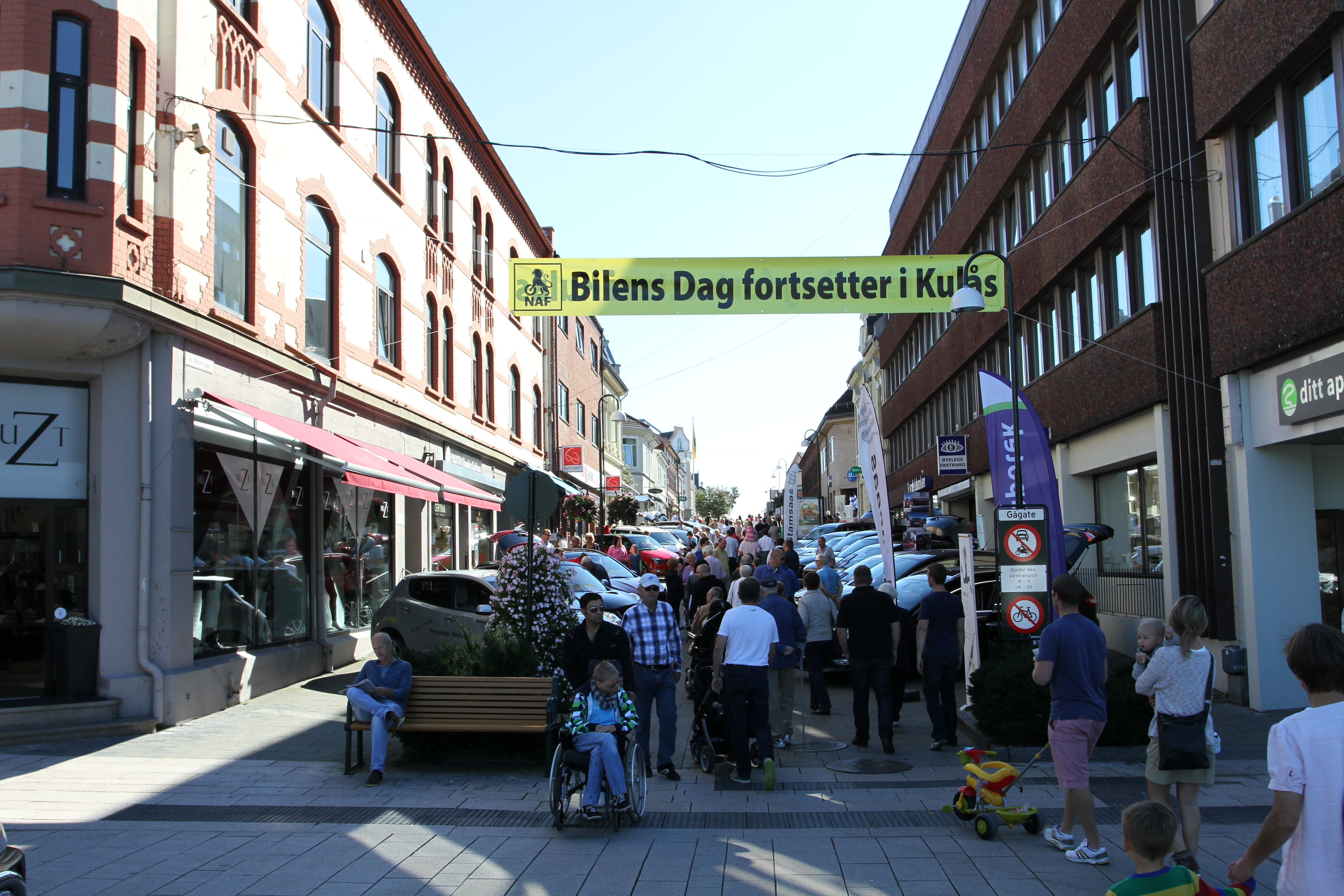 Bilens Dag