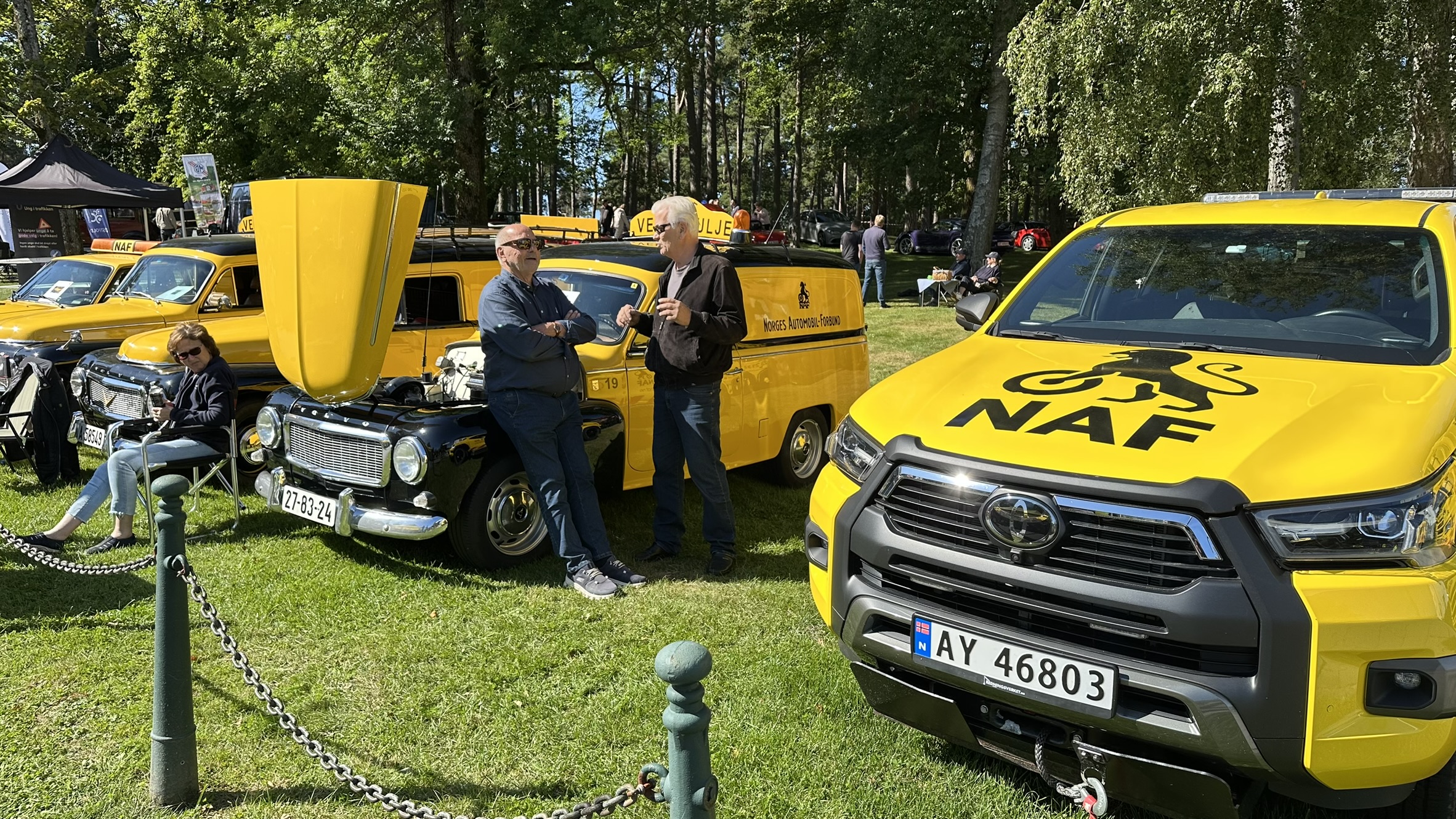 Bilens Dag