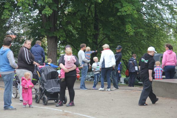 Bilens Dag 2013