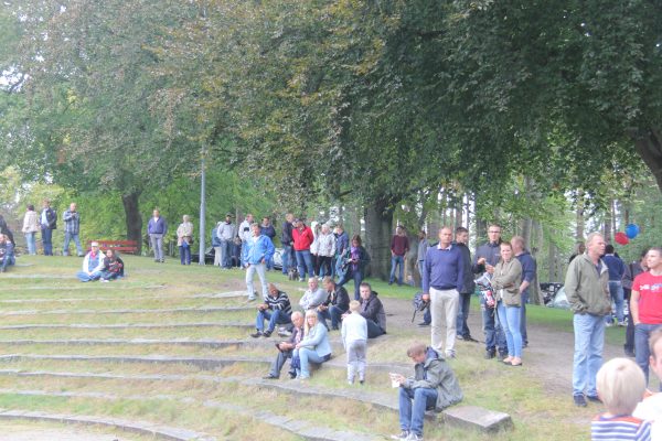Bilens Dag 2013