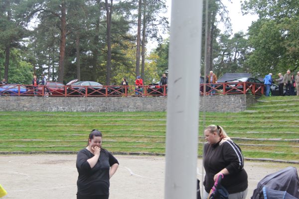Bilens Dag 2013