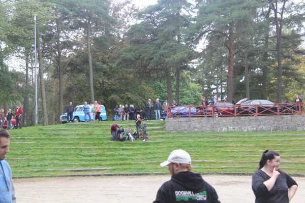 Bilens Dag 2013
