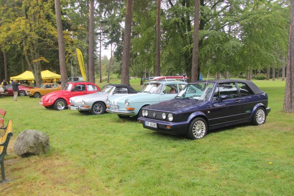 Bilens Dag 2013