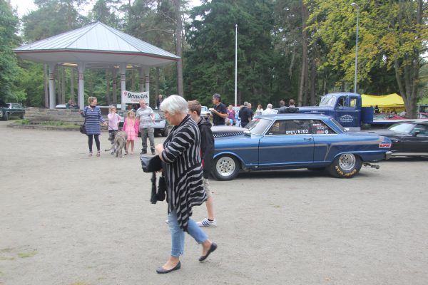Bilens Dag 2013
