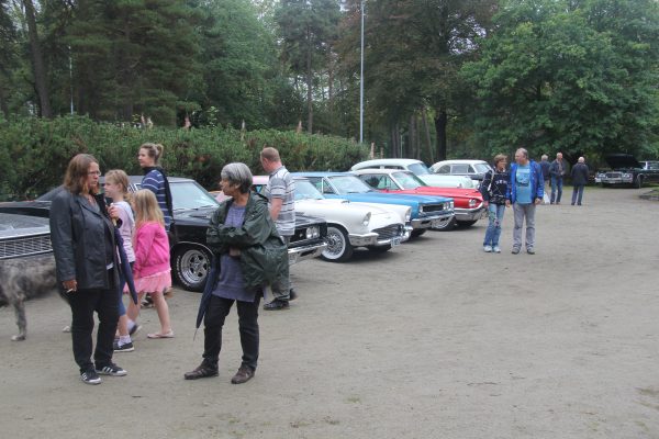Bilens Dag 2013