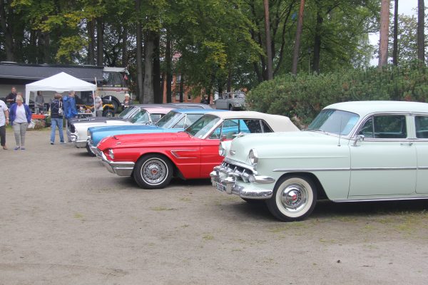 Bilens Dag 2013