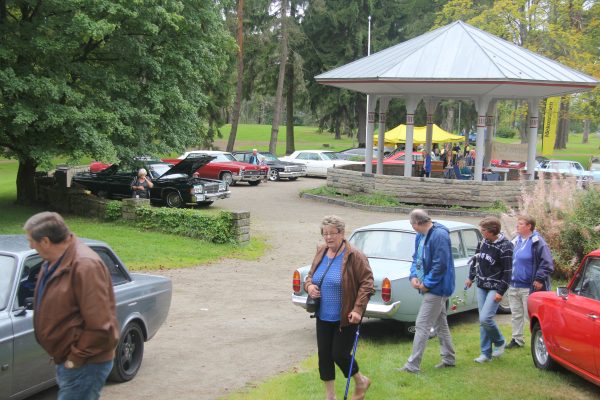 Bilens Dag 2013