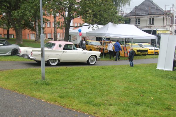 Bilens Dag 2013