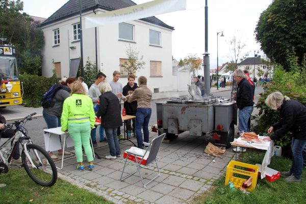 Bilens Dag 2014