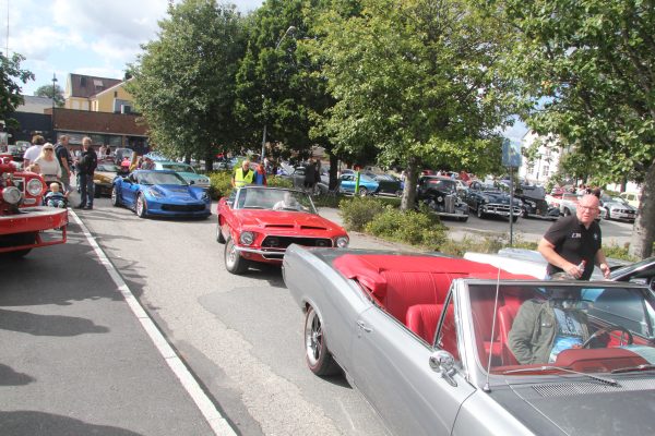 Bilens Dag 2015
