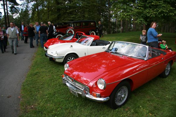 Bilens Dag 2008 – bilde 10