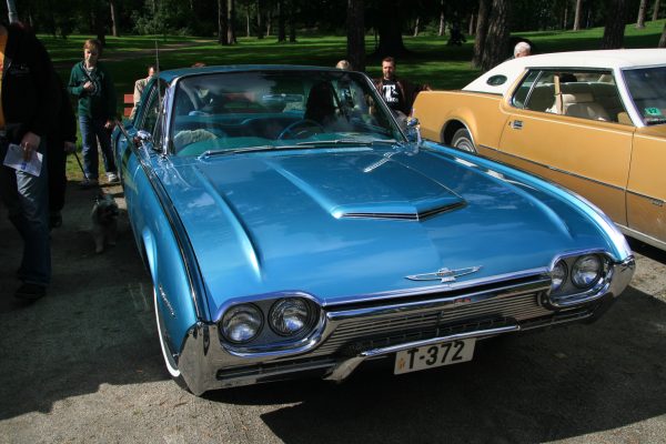 Bilens Dag 2009 – bilde 17
