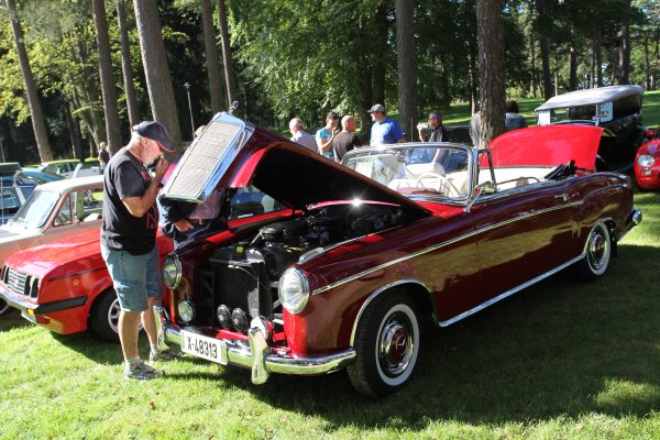 Bilens Dag 2012 – bilde 14
