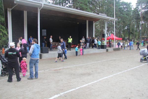 Bilens Dag 2013 – bilde 13